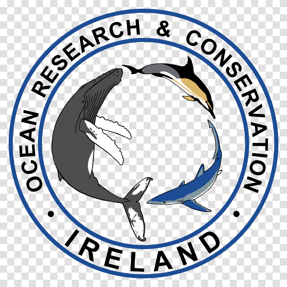 Ocean Pollution Ireland Organizations, Circus Transparent Png