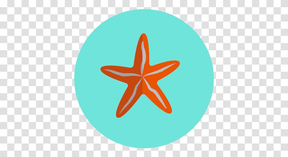 Ocean Sea Star Icon, Symbol, Star Symbol, Animal, Sea Life Transparent Png