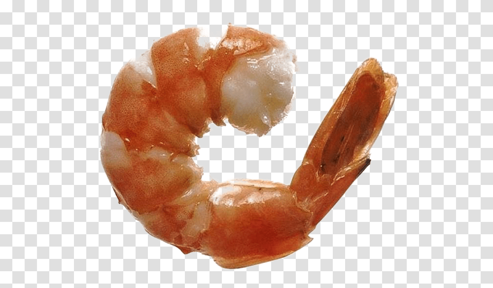 Ocean Shrimp Free Play Shrimp Cocaine, Seafood, Sea Life, Animal, Fungus Transparent Png