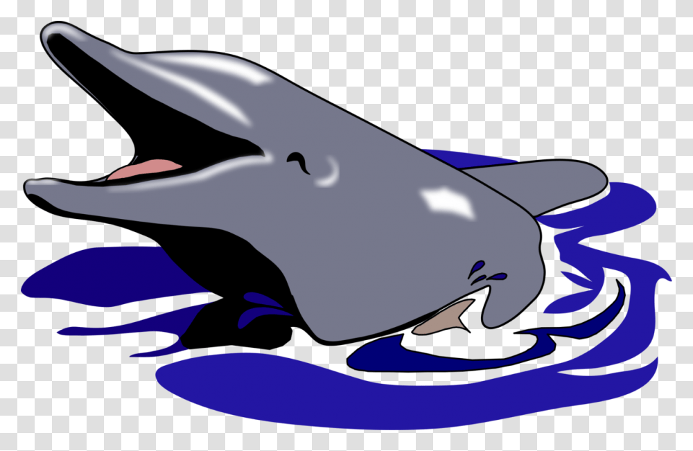 Oceanic Dolphin Drawing Common Bottlenose Dolphin Computer Icons, Sea Life, Animal, Mammal, Shark Transparent Png