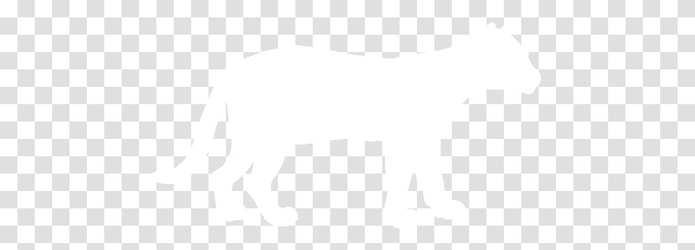 Ocelot Clipart Cougar, White, Texture, White Board Transparent Png