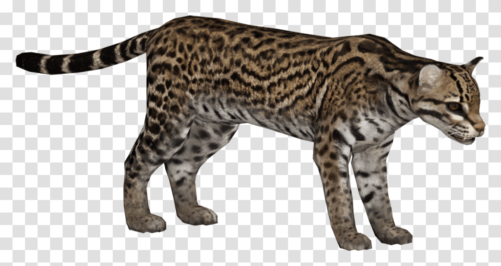 Ocelot Zoo Tycoon 2 Ocelot, Panther, Wildlife, Mammal, Animal Transparent Png