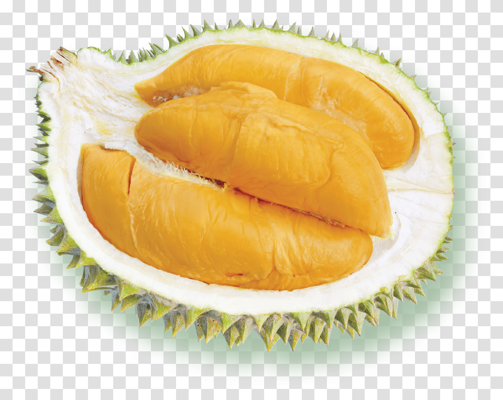 Ochee Durian Durian, Plant, Fruit, Food, Produce Transparent Png