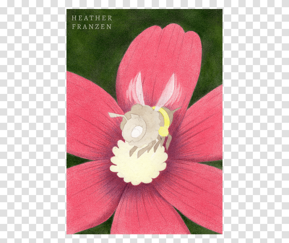 Ochre, Plant, Pollen, Flower, Dahlia Transparent Png