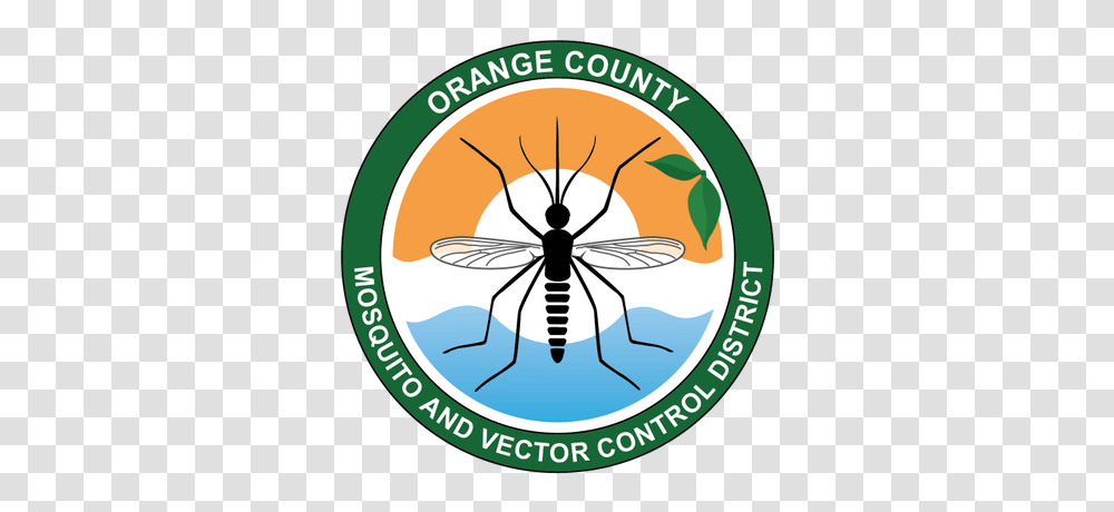 Ocmvcd On Twitter From Illnesses From Mosquito Tick, Insect, Invertebrate, Animal, Spider Transparent Png