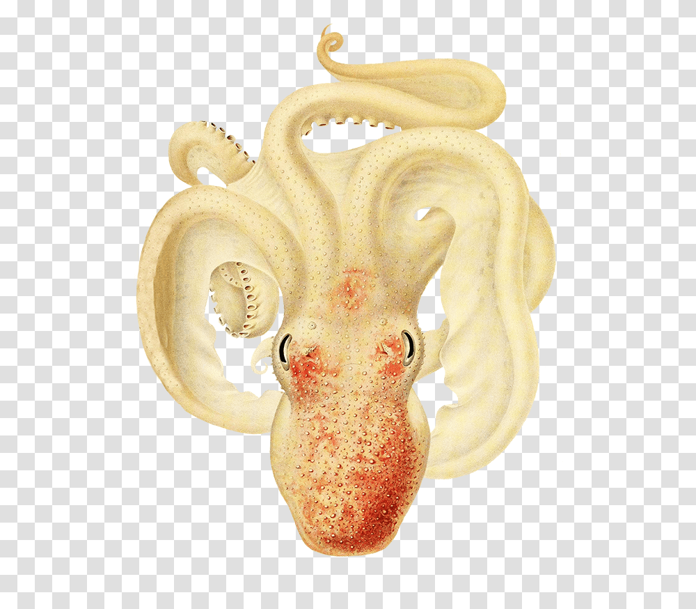 Ocotpus Clipart Soft Pale Colors Octopus, Sea Life, Animal, Invertebrate, Food Transparent Png