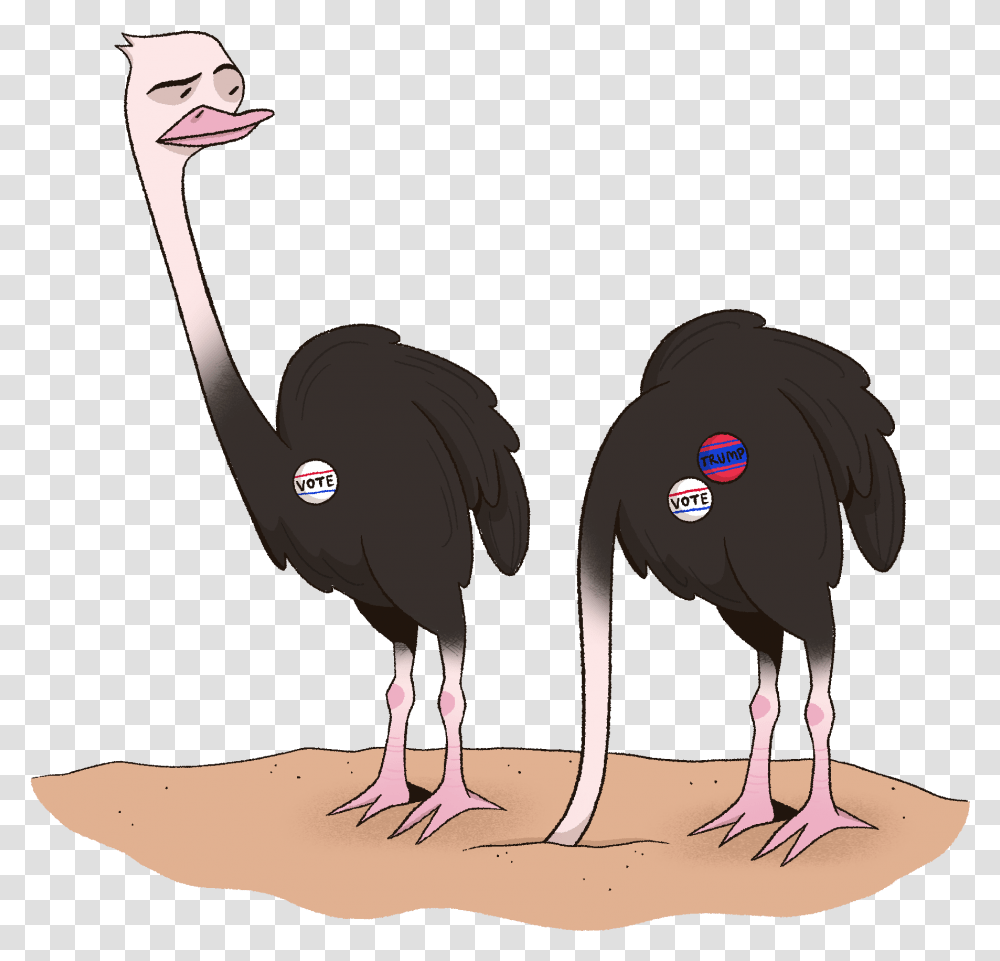 Ocsa Evolution Common Ostrich, Bird, Animal Transparent Png