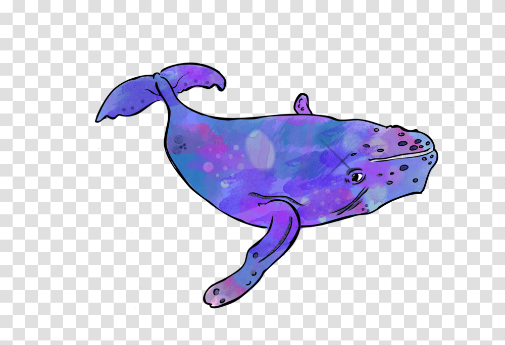 Octavia, Sea Life, Animal, Mammal, Water Transparent Png