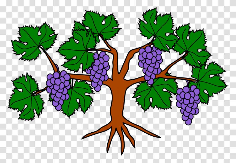 October 2018 Grapevine Grape Vine Tree Clipart, Plant, Leaf, Fruit, Food Transparent Png