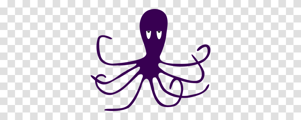 Octopus Holiday, Plant, Flower, Outdoors Transparent Png