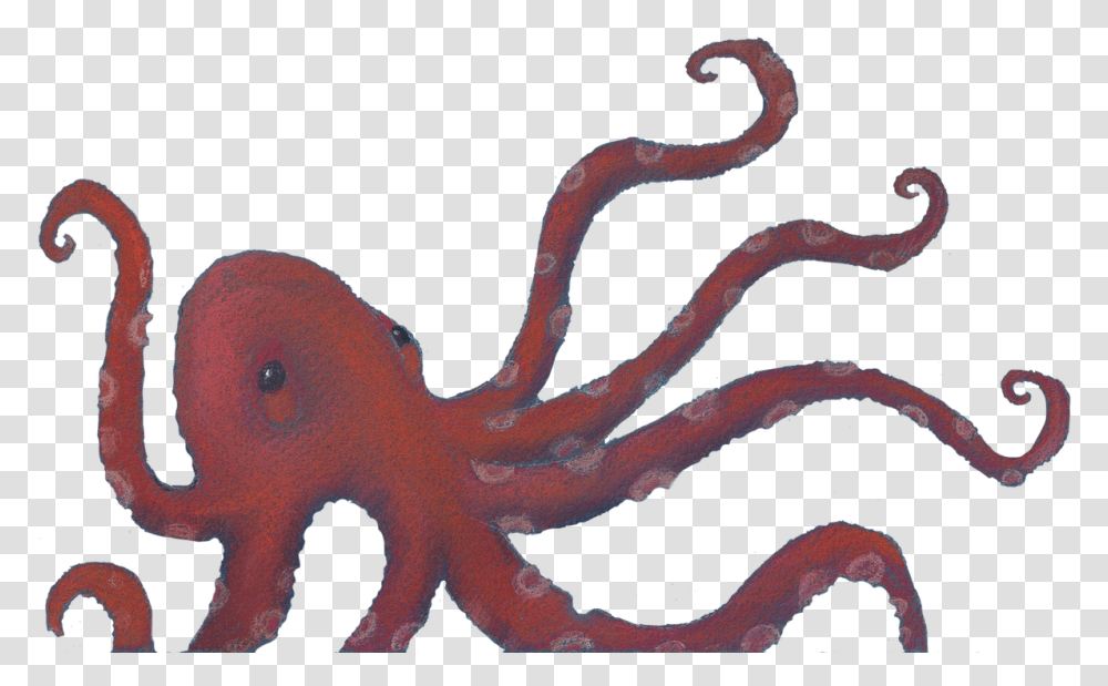 Octopus, Animal, Sea Life, Invertebrate, Dinosaur Transparent Png