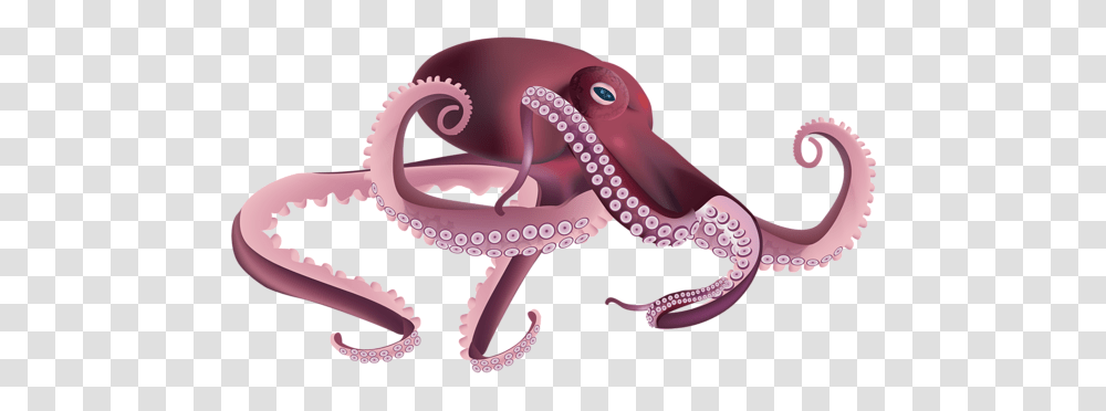 Octopus, Animals, Sea Life, Invertebrate Transparent Png
