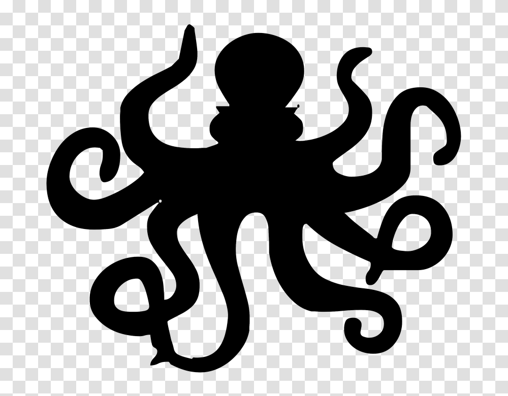 Octopus, Animals, Pattern, Star Symbol Transparent Png