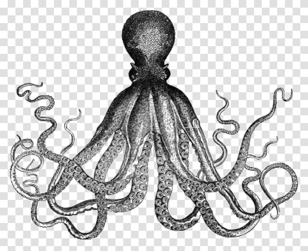 Octopus Antique Kraken Clip Art Vintage Clip Art, Invertebrate, Sea Life, Animal Transparent Png
