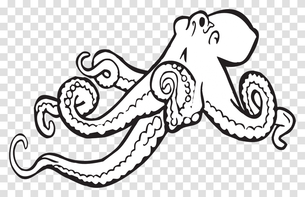 Octopus Clipart Black And White, Invertebrate, Sea Life, Animal, Antelope Transparent Png