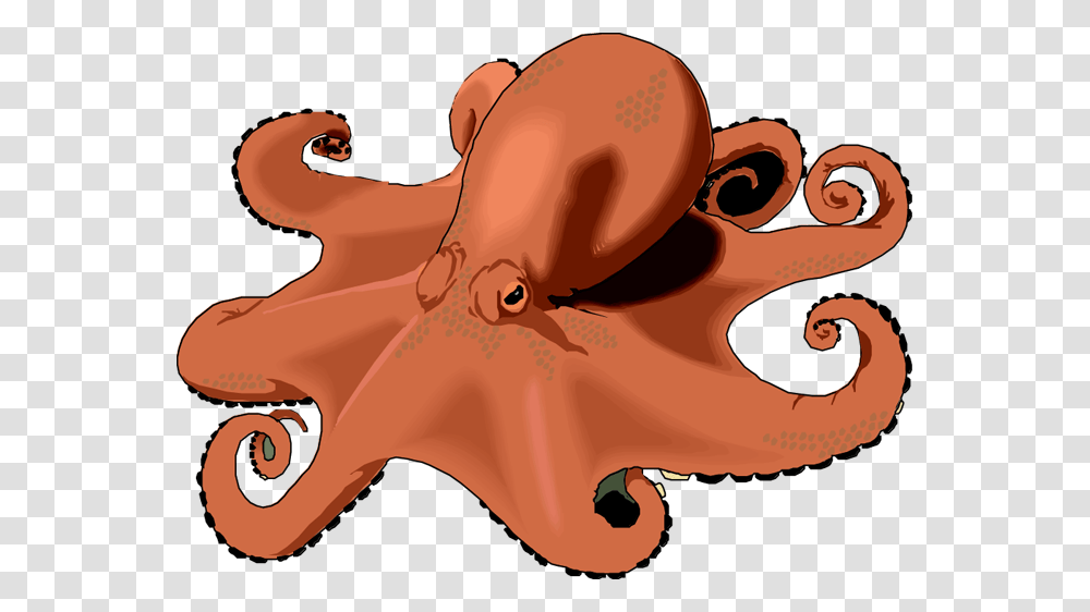 Octopus Clipart Free Images, Sea Life, Animal, Invertebrate, Helmet Transparent Png