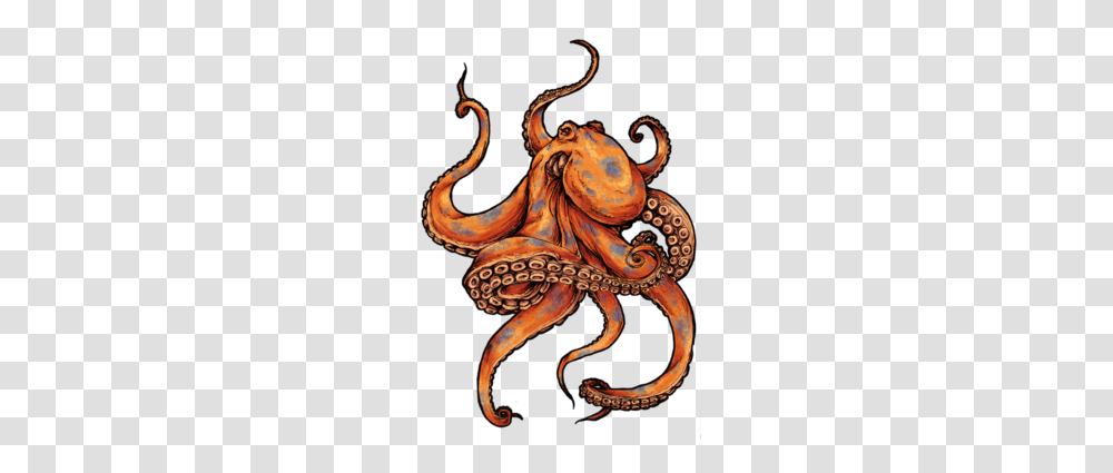 Octopus Clipart, Invertebrate, Sea Life, Animal Transparent Png