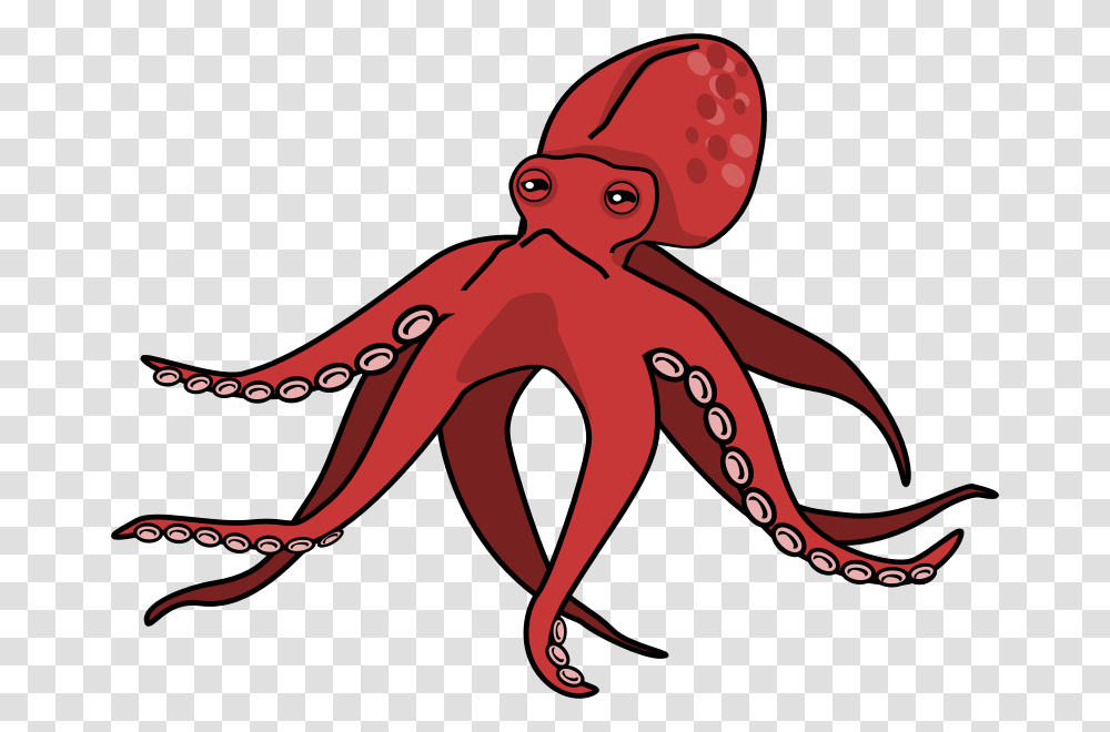 Octopus Clipart Project Octopus Cartoon, Sea Life, Animal, Invertebrate Transparent Png