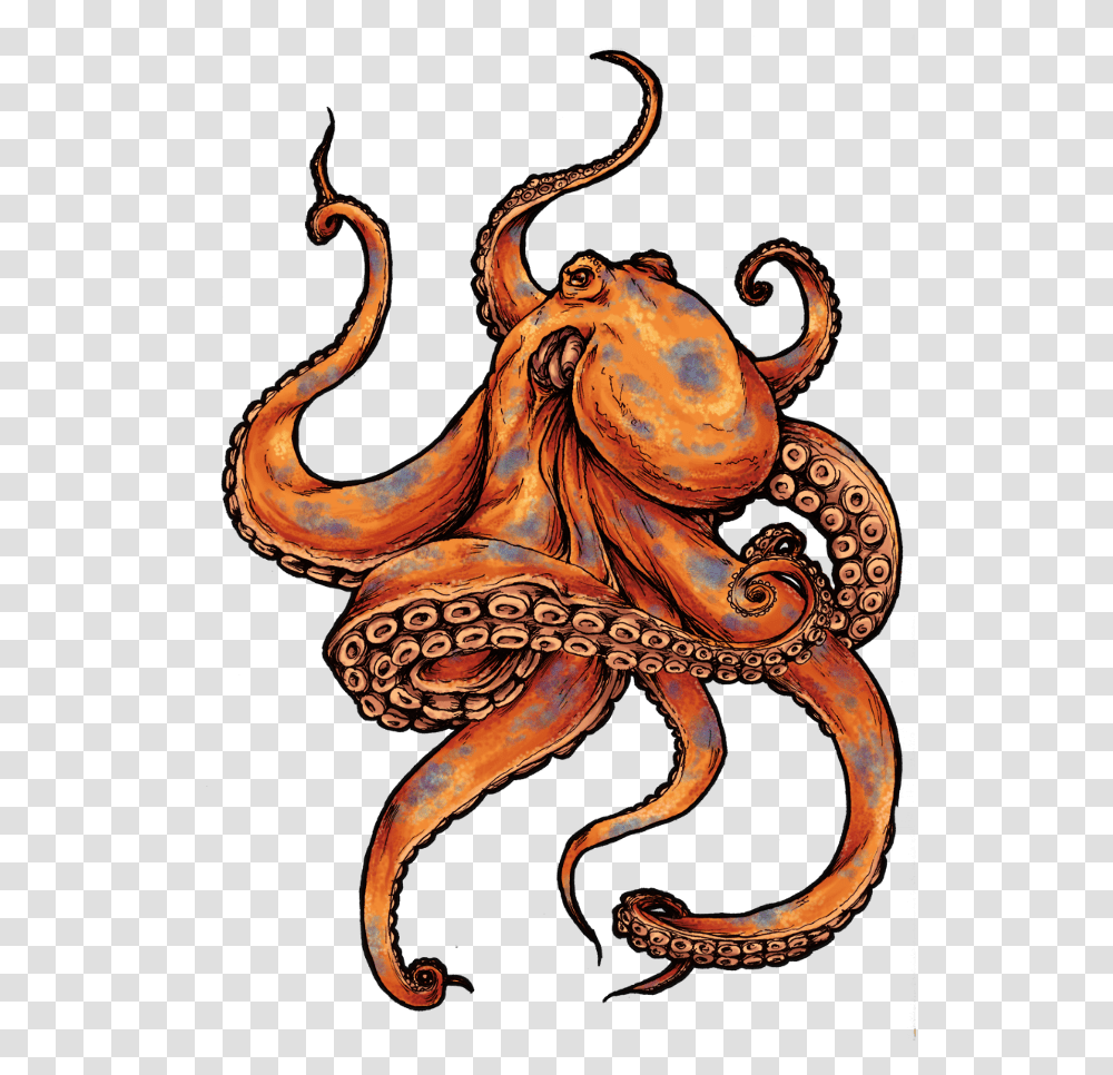Octopus Color Octopus Tattoo, Invertebrate, Sea Life, Animal Transparent Png
