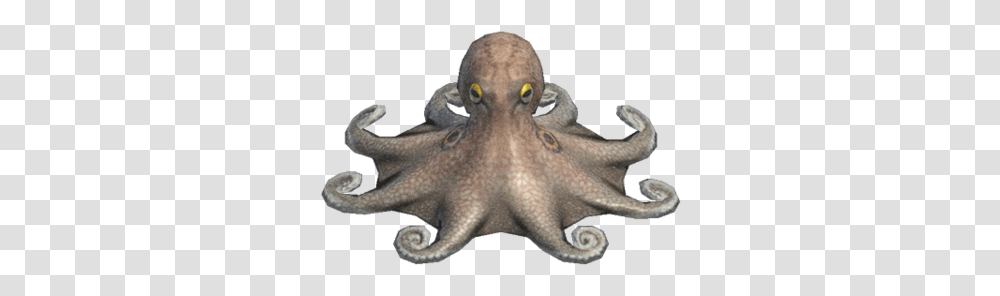 Octopus Deep Sea Creature Animal Crossing Wiki Fandom Poulpe Animal Crossing New Horizon, Invertebrate, Sea Life Transparent Png