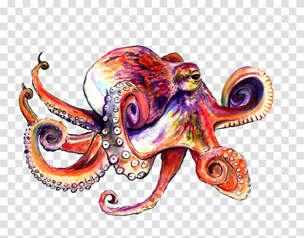 Octopus Download Illustration, Invertebrate, Sea Life, Animal Transparent Png