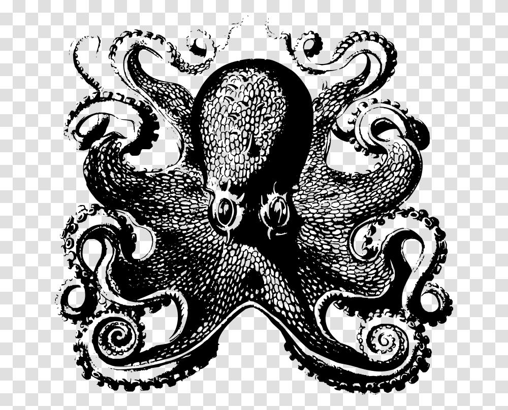 Octopus Front Victorian Octopus, Gray, World Of Warcraft Transparent Png