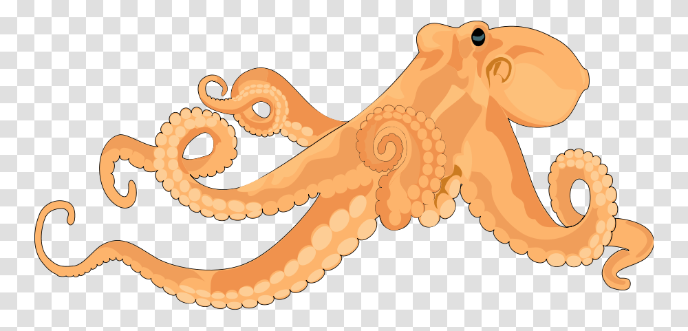 Octopus Images Image Clipart Realistic Octopus Clipart, Invertebrate, Sea Life, Animal, Dinosaur Transparent Png