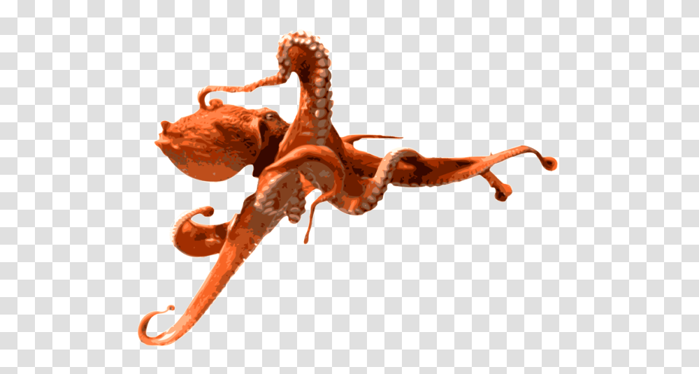 Octopus Images, Lobster, Seafood, Sea Life, Animal Transparent Png