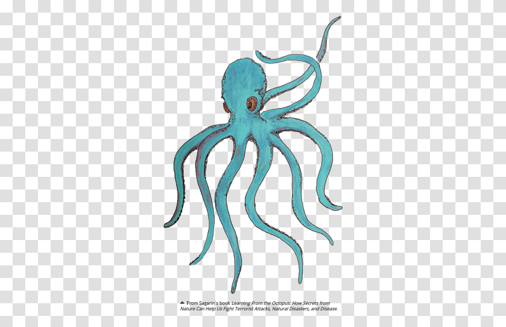 Octopus Octopus, Sea Life, Animal, Invertebrate Transparent Png