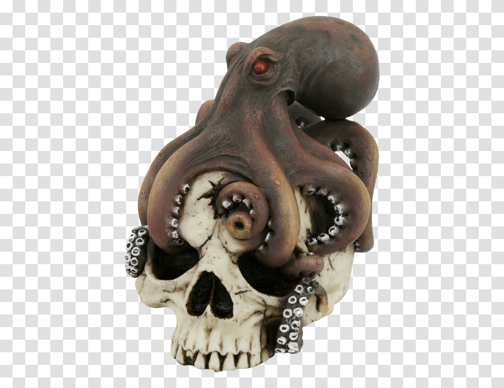 Octopus On Skull Skull, Invertebrate, Sea Life, Animal, Fossil Transparent Png