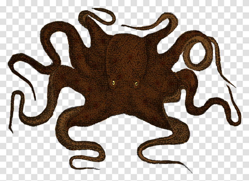 Octopus Profile, Invertebrate, Sea Life, Animal, Elephant Transparent Png