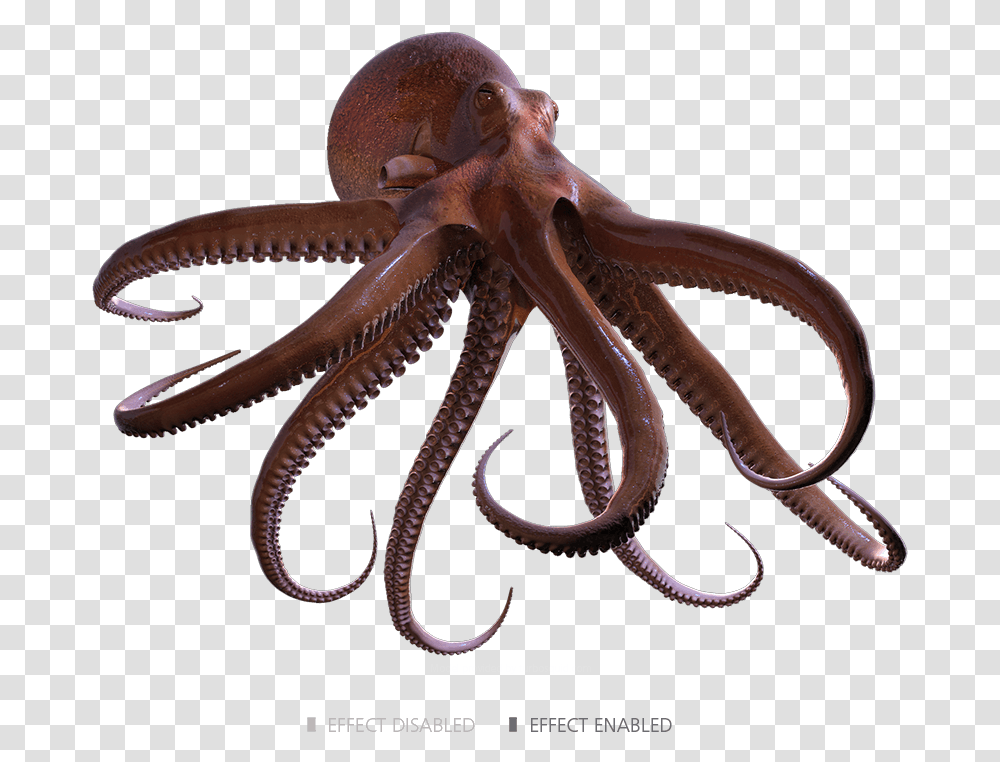 Octopus Render, Snake, Reptile, Animal, Sea Life Transparent Png