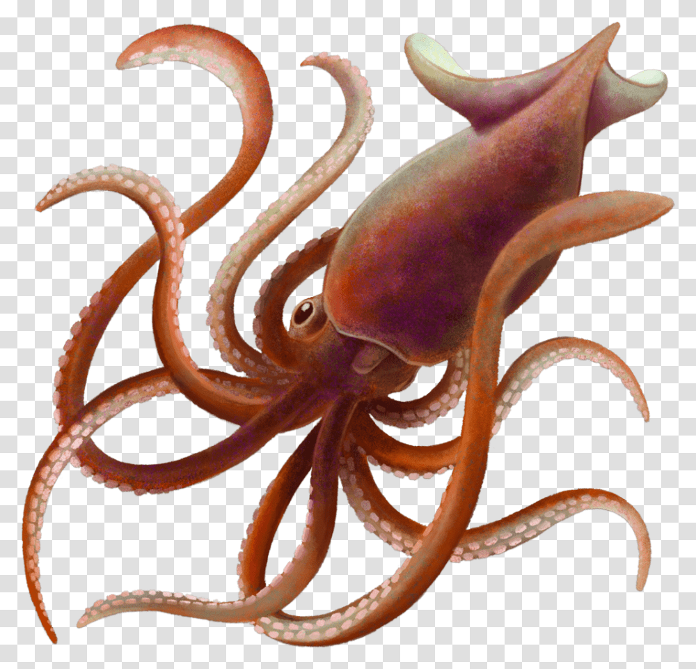 Octopus, Sea Life, Animal, Invertebrate, Snake Transparent Png