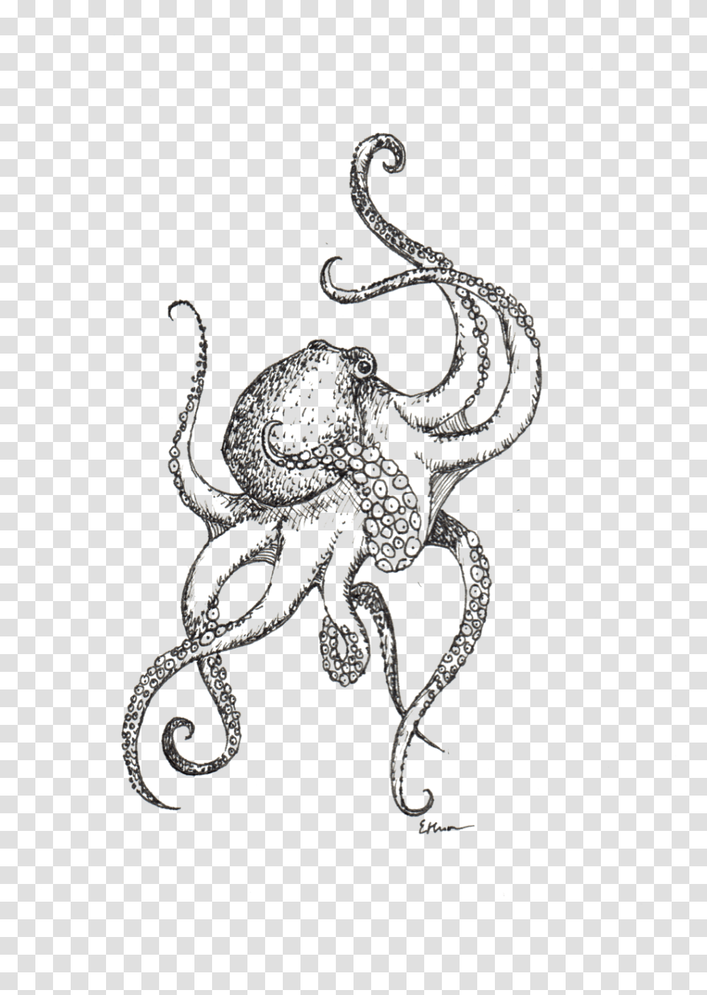 Octopus, Snake, Reptile, Animal, Emblem Transparent Png