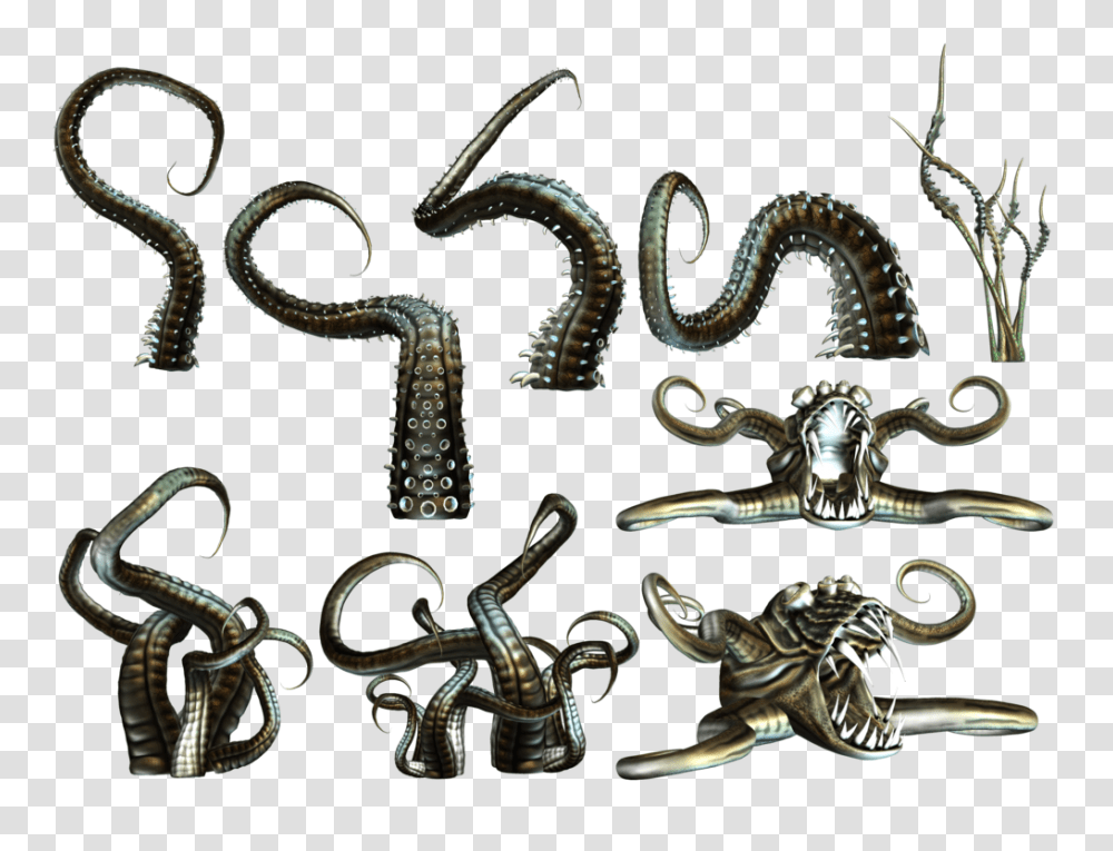 Octopus Tentacles Octopus Tentacles, Bronze, Pattern, Treasure, Accessories Transparent Png