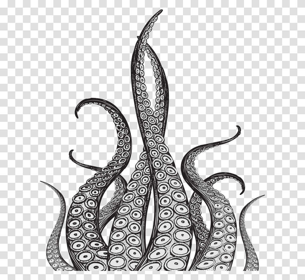 Octopus Tentacles Pic Tentacle Drawing, Sea Life, Animal, Invertebrate Transparent Png