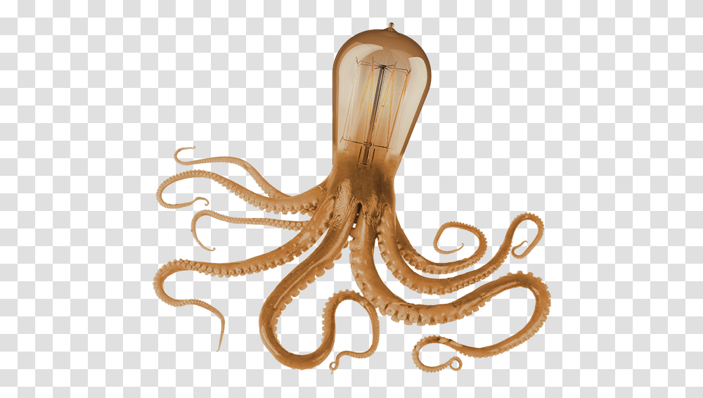 Octopus Underwater Art Only Octopus, Sea Life, Animal, Snake, Reptile Transparent Png