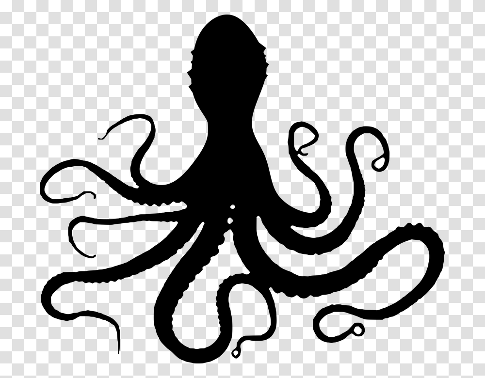 Octopuses, Gray, World Of Warcraft Transparent Png