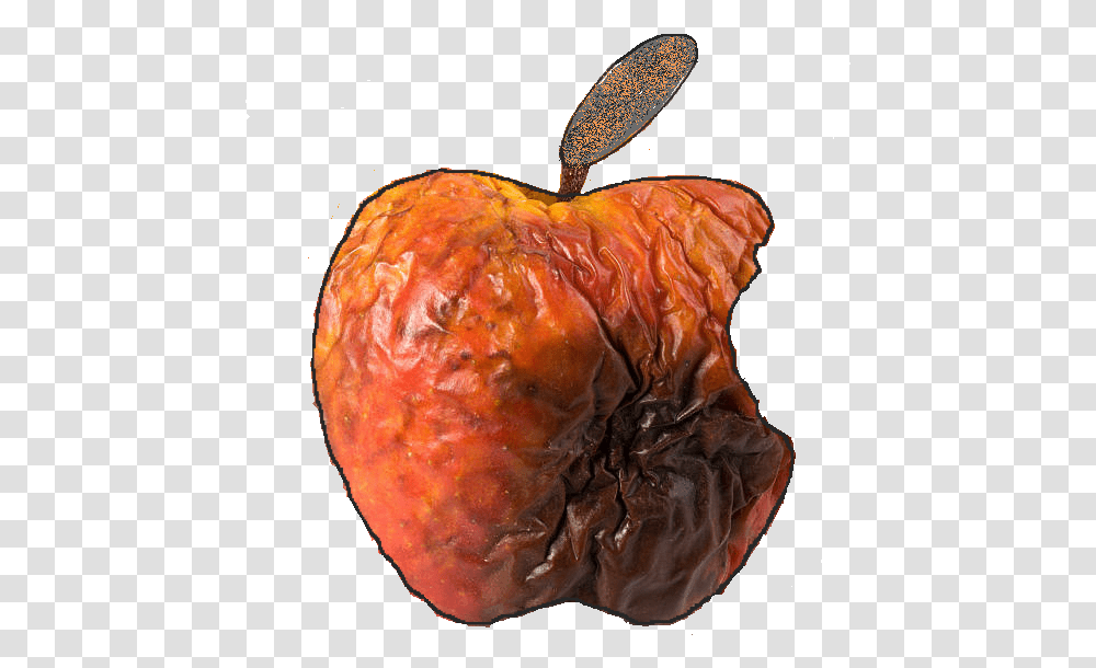 Ode To A Rotting Apple - Designs Apple Bad, Plant, Fruit, Food, Gemstone Transparent Png
