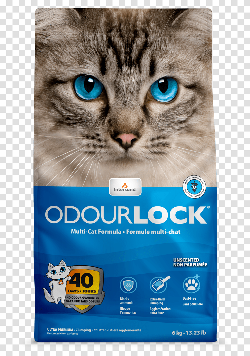 Odour Lock 12 Kg, Advertisement, Poster, Flyer, Paper Transparent Png