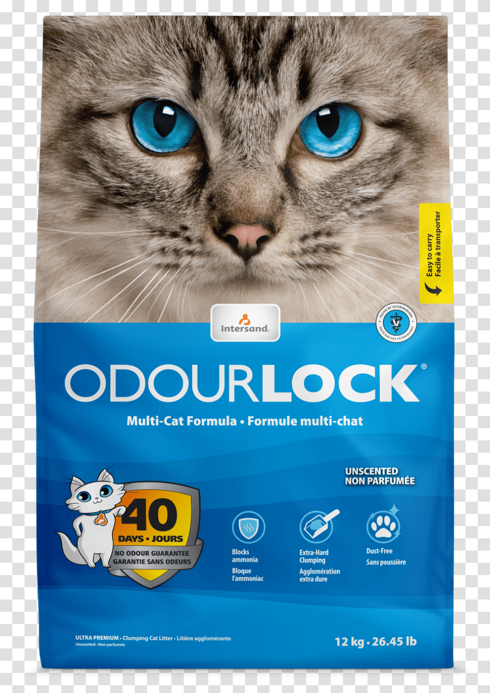 Odour Lock, Advertisement, Flyer, Poster, Paper Transparent Png