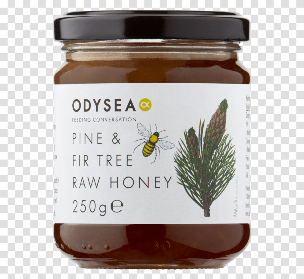 Odysea Pine & Fir Tree Honey 250g Greek Honey Online Uk, Insect, Invertebrate, Animal, Food Transparent Png