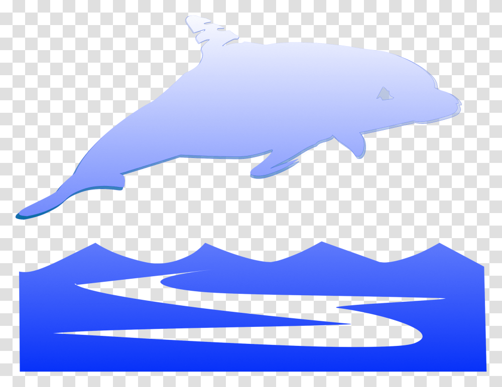 Of A Jumping, Sea Life, Animal, Mammal, Dolphin Transparent Png