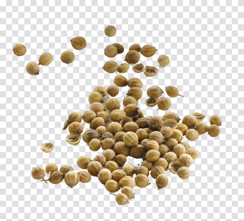 Of A Seed Coriander Seeds Background, Plant, Food, Vegetable, Produce Transparent Png