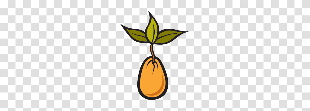 Of A Seed Of A Seed Images, Plant, Food, Vegetable, Nut Transparent Png