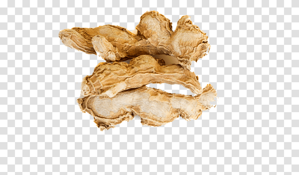 Of Dry Ginger, Plant, Fungus Transparent Png