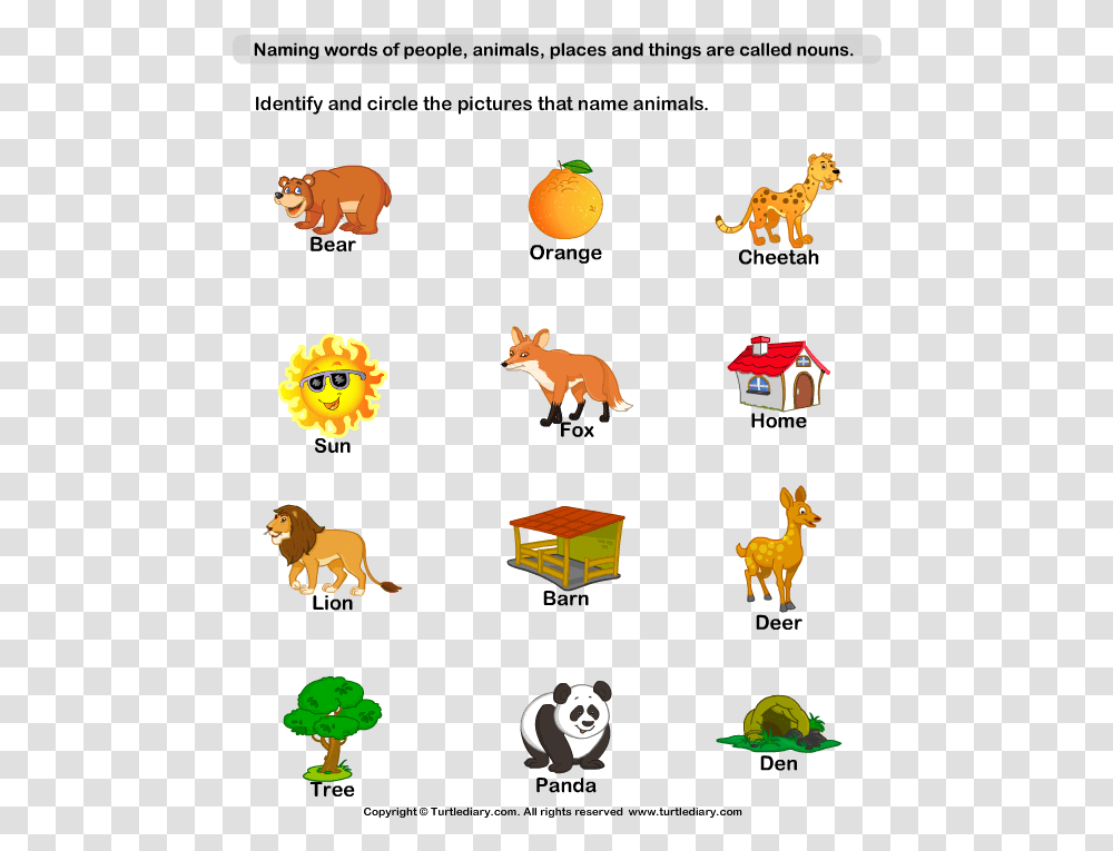 Of Example X Letter Adjectives Naming Animal Diary Naming Words For Things, Leaf, Plant, Tree Transparent Png