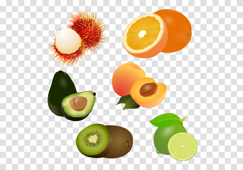 Of Fruit Set Drawing Stock Fruit Logo Set Clipart, Plant, Food, Citrus Fruit, Produce Transparent Png
