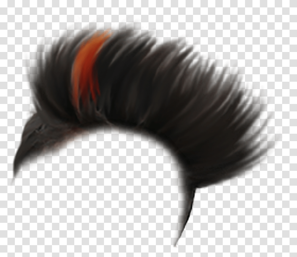 Of Hair Style, Nature, Person, Outdoors, Animal Transparent Png