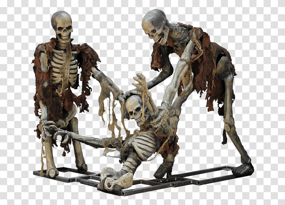 Of Hanging Skeleton Download Figurine, Dinosaur, Reptile, Animal, Person Transparent Png